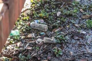 Copos plásticos , garrafas e embalagem de sorvete boiam na margem do Lago do Amor. (Foto: Marcos Maluf)