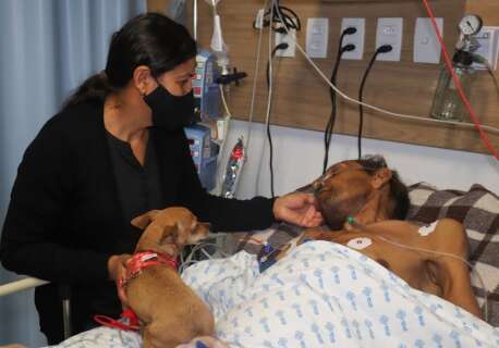 Cachorrinha viaja 58 km para se despedir de dono em hospital
