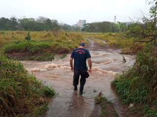 Agente da Defesa Civil caminha por área alagada em Dourados; chuva foi de 80 mm (Foto: Divulgação)