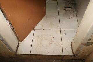 &ldquo;Sensa&ccedil;&atilde;o de desespero&rdquo;, diz mulher ap&oacute;s ter casa invadida por pitbulls