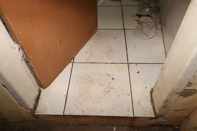 &ldquo;Sensa&ccedil;&atilde;o de desespero&rdquo;, diz mulher ap&oacute;s ter casa invadida por pitbulls