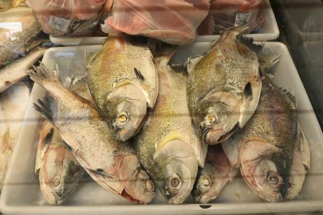 Com estoque refor&ccedil;ado, peixarias tentam emplacar Semana do Pescado