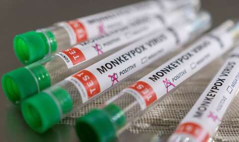 Anvisa analisa antiviral para tratar varíola dos macacos