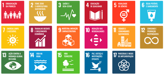 Objetivos de Desenvolvimento Sustentável adotados pela Organização das Nações Unidas. (Foto: Ilustração)