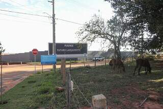 Cavalos pastam ao lado de anúncio de obra: Chácara dos Poderes vive transição com expansão imobiliária. (Foto: Paulo Francis)