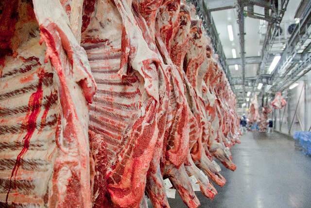 Rentabilidade dos produtores de carnes seguirá reduzida em 2023 