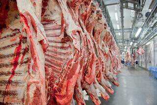 Conab estima aumento na produção de carne bovina em torno de 2,9%. (Foto: Divulgação / Abiec)
