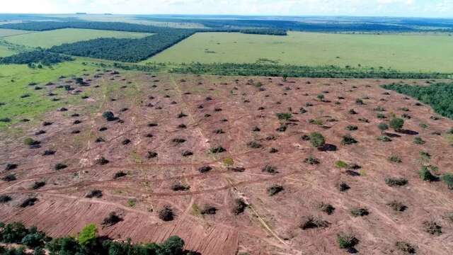 Inc&ecirc;ndios florestais em MS s&atilde;o os menores desde 2018