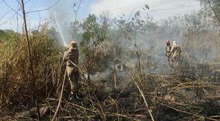 Incêndio sendo combatido por bombeiros no município de Corumbá. (Foto: Corpo de Bombeiros Militar)