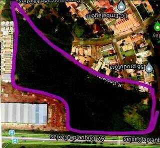 Vista aérea da área onde fica a reserva no Bairro Nova Campo Grande. (Foto: Direto das Ruas)