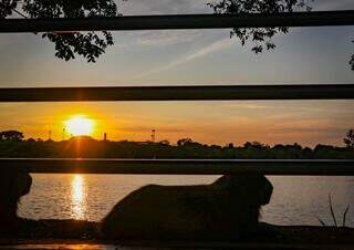 S&aacute;bado ser&aacute; de calor, com m&aacute;xima de 38&deg;C e tempo seco em todo MS