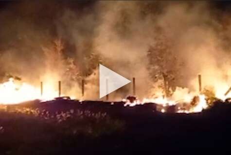 Terreno baldio pega fogo e moradora denuncia: "jogam até animais mortos"