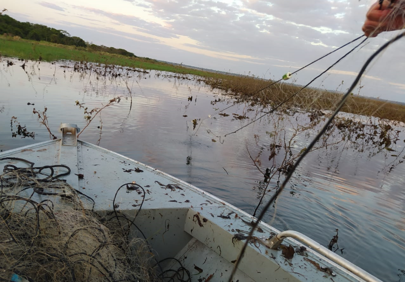 Operação Pesca Legal recolhe 2 mil metros de redes e solta 40 kg de