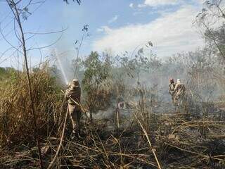 Militares combatendo o fogo em mata. (Foto: Corpo de Bombeiros)