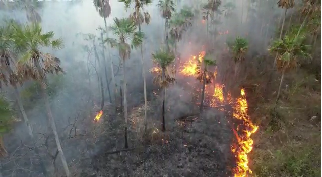 Fogo no Nabileque &eacute; controlado, mas monitoramento continua