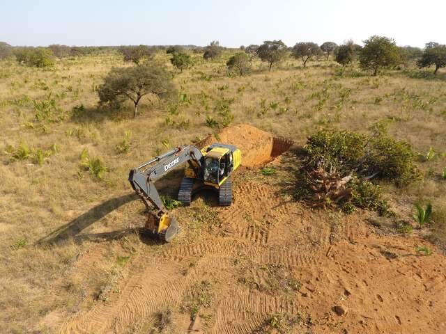 Combo destrui&ccedil;&atilde;o: agr&ocirc;nomo &eacute; multado por derrubar e enterrar &aacute;rvores