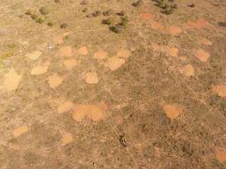 Imagem aérea da área utilizada para fazer cemitério de árvores na propriedade. (Foto: PMA)