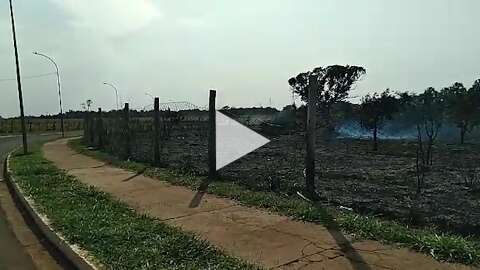 Fogo destrói área verde e afugenta animais no bairro Zé Pereira