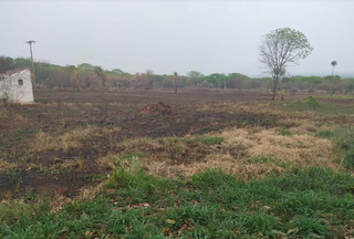 Área que foi incendida no pantanal de Corumbá (Foto: divulgação / PMA) 