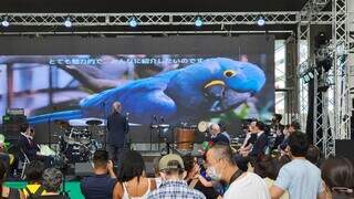Comunidade brasileira no Japão conheceu história da arara-azul, novo mascote batizado de Jujuba. (Foto: Silvio Mori) 