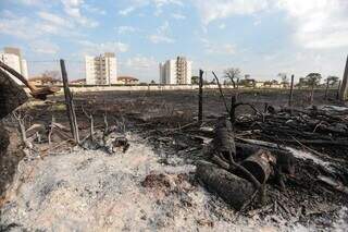 Área queimada após incêndio no Vila Margarida (Foto: Marcos Maluf)
