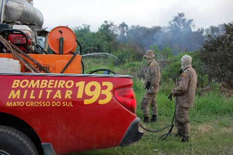 Área queimada em Mato Grosso do Sul diminuiu até 83% em 2022
