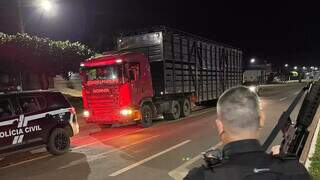 Caminhão boiadeiro sendo levado para a Delegacida de Bela Vista. (Foto: Divulgação | Polícia Civil)