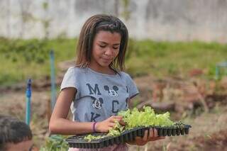 Anna Vitória de Freitas, aluna do sexto ano, distribui mudas para o plantio (Foto: Marcos Maluf)