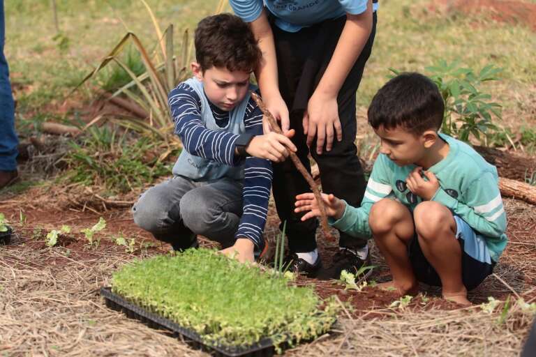 Alunos do projeto com horta preparam mudas para plantio