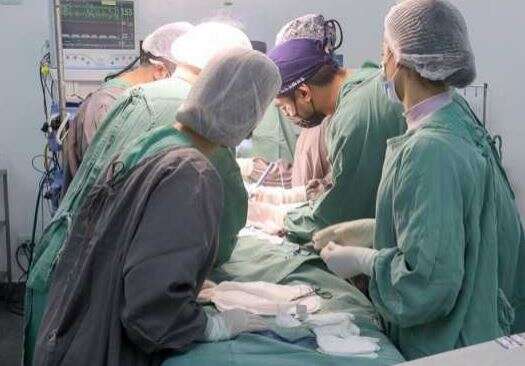 Secretaria admite perda de doa&ccedil;&otilde;es, mas assina contrato para retomar transplante