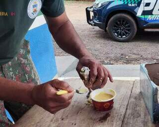 Policial militar ambiental alimenta papagaio apreendido. (Foto: PMA / Divulgação)