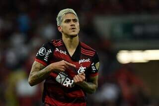 Atacante Pedro comemora ótima fase com a camisa do Flamengo (Foto: Divulgação)