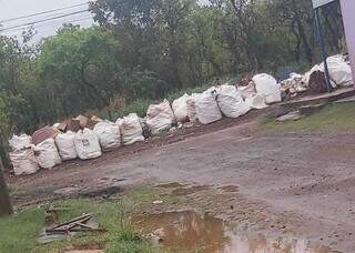 Ac&uacute;mulo de lixo atrai ratos e revolta moradores no Jardim Indian&aacute;polis