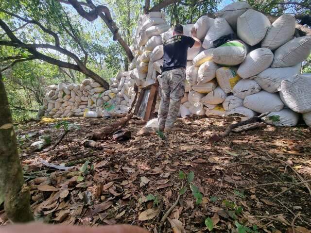 Pol&iacute;cia paraguaia destr&oacute;i base com 42 toneladas de maconha na fronteira