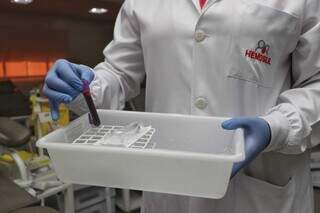 Enfermeira segurando amostra de sangue coletada para cadastro de doador de medula óssea (Foto: Paulo Francis)