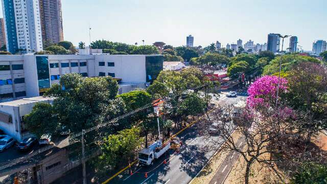 Em Campo Grande, 65 mil &aacute;rvores j&aacute; foram podadas para evitar acidentes el&eacute;tricos