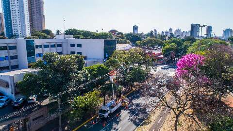 Em Campo Grande, 65 mil árvores já foram podadas para evitar acidentes elétricos