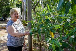 Luiza Peralta Chavez, de 80 anos, transformou praça em seu quintal. (Foto: Kísie Ainoã)