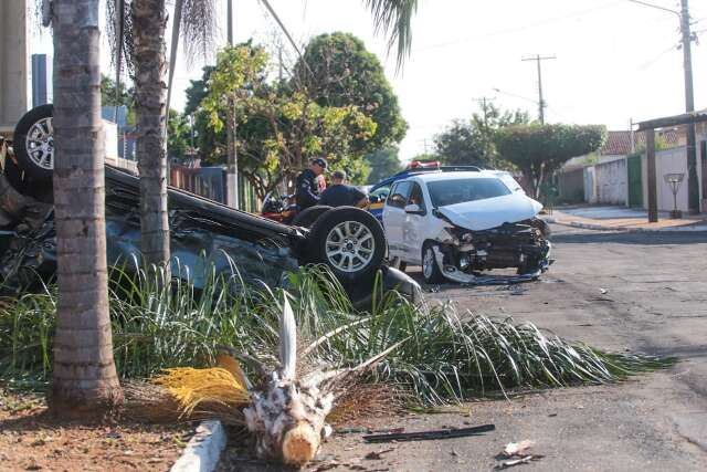 Carro &eacute; lan&ccedil;ado contra coqueiro ap&oacute;s colis&atilde;o e crian&ccedil;a sai ilesa