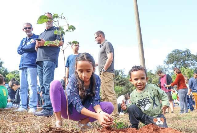 Campo-grandenses ganham 15 mil mudinhas para celebrar Dia da &Aacute;rvore neste s&aacute;bado