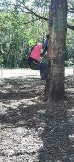 Campeonato de Escalada em &Aacute;rvore desafia profissionais em Campo Grande