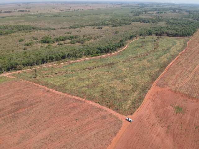 Opera&ccedil;&atilde;o &ldquo;Mata Atl&acirc;ntica em P&eacute;&rdquo; vai fiscalizar 46 &aacute;reas de desmatamento em MS