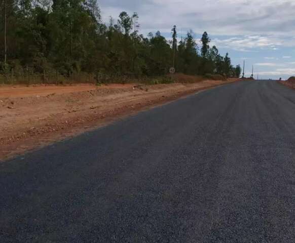 Adolescente morre ap&oacute;s cair de carroceria de caminhonete em estrada 