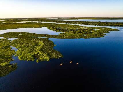 Corredor de preservação do Pantanal volta à cena com investimento privado
