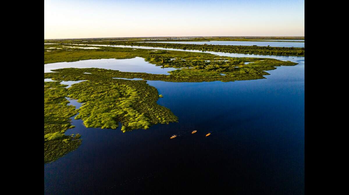 Empresários compram terras para formar 'corredor' de preservação no  Pantanal