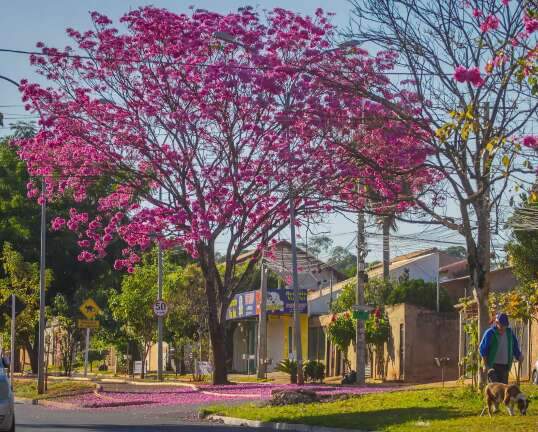 Previsões indicam que primavera será de chuva e altas temperaturas em MS