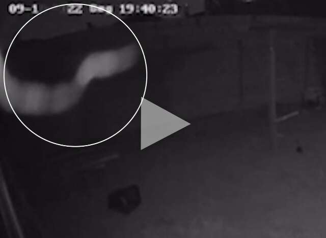 Jiboia &eacute; resgatada ap&oacute;s se enroscar em concertina de casa no Jardim Itatiaia