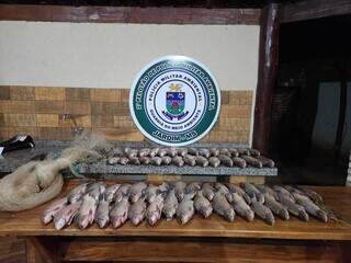 Foi realizada vistoria na caixa térmica dos pescadores e havia 17 exemplares de peixes das espécies curimbatá, pesando 12,5 kg. (Foto: PMA)
