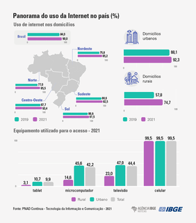 Infográfico mostra panorama do uso da internet nos municípios (Arte: Jessica Cândido, da Agência IBGE)