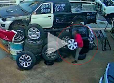 Ladrão é flagrado após dopar pit bull para furtar mais de R$ 18 mil em rodas